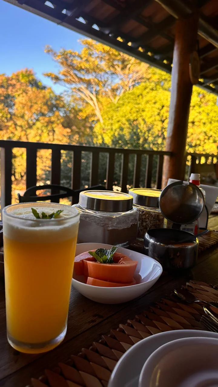 Suco, mamão e potes na mesa da varanda, com árvores ao fundo
