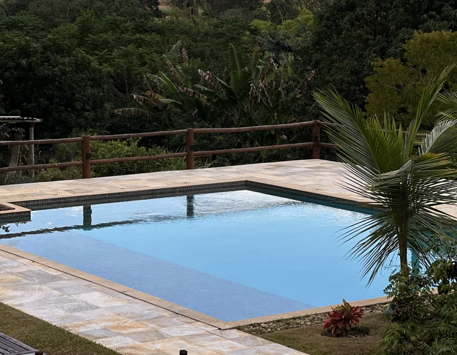 Piscina com deck de pedra e palmeira